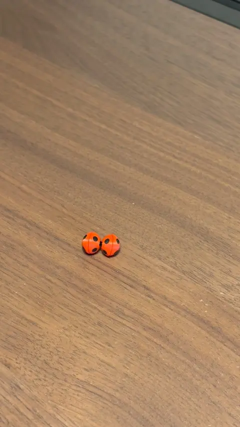 Ladybug Ohrringe mit Magneten
